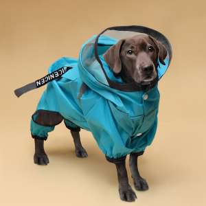 Дождевик для собак с козырьком, размер 3ХL (ДС 50, Ог 67, ОШ 51 см), голубой