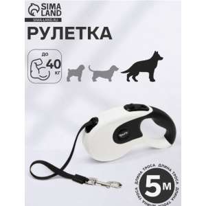 Рулетка DIIL, 5 м, до 40 кг, лента, прорезиненная ручка, белая с чёрным