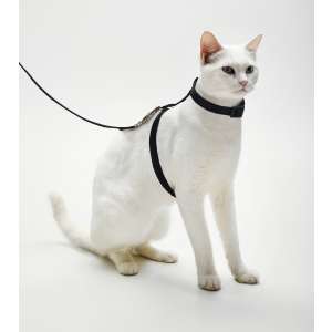 Комплект для кошек шлейка ОШ16,5-27см ОГ21-35см +поводок 120см черный Пижон